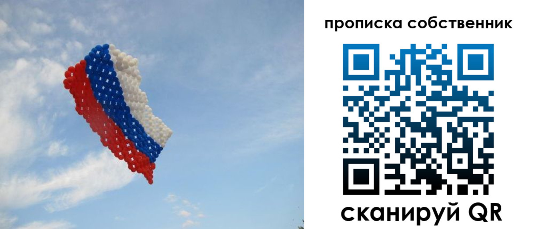 миграционный учет в Лосино-Петровском